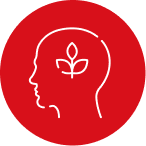 social. Academy